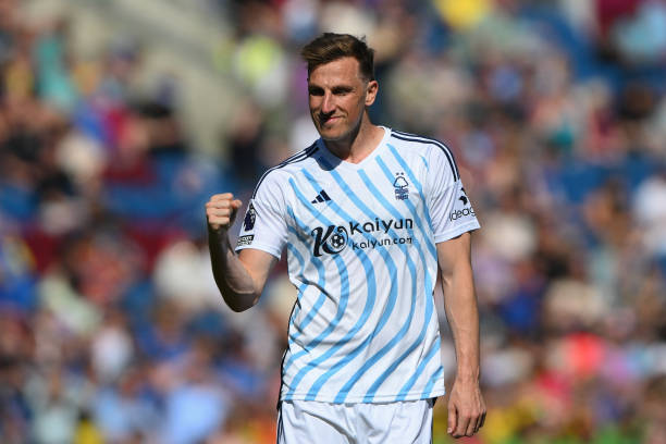 可能会成为 可能会成为