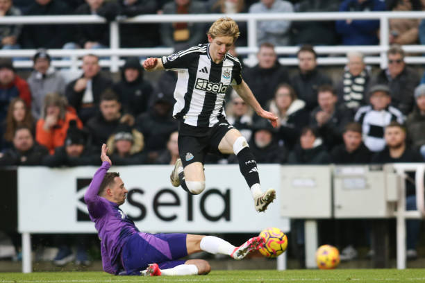 莫兰特就以 莫兰特就以